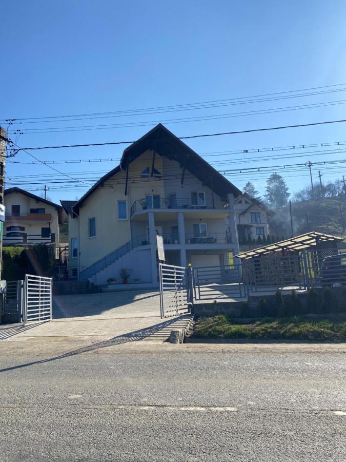 Hotel Casa Alessias Vişeu de Sus Exterior foto